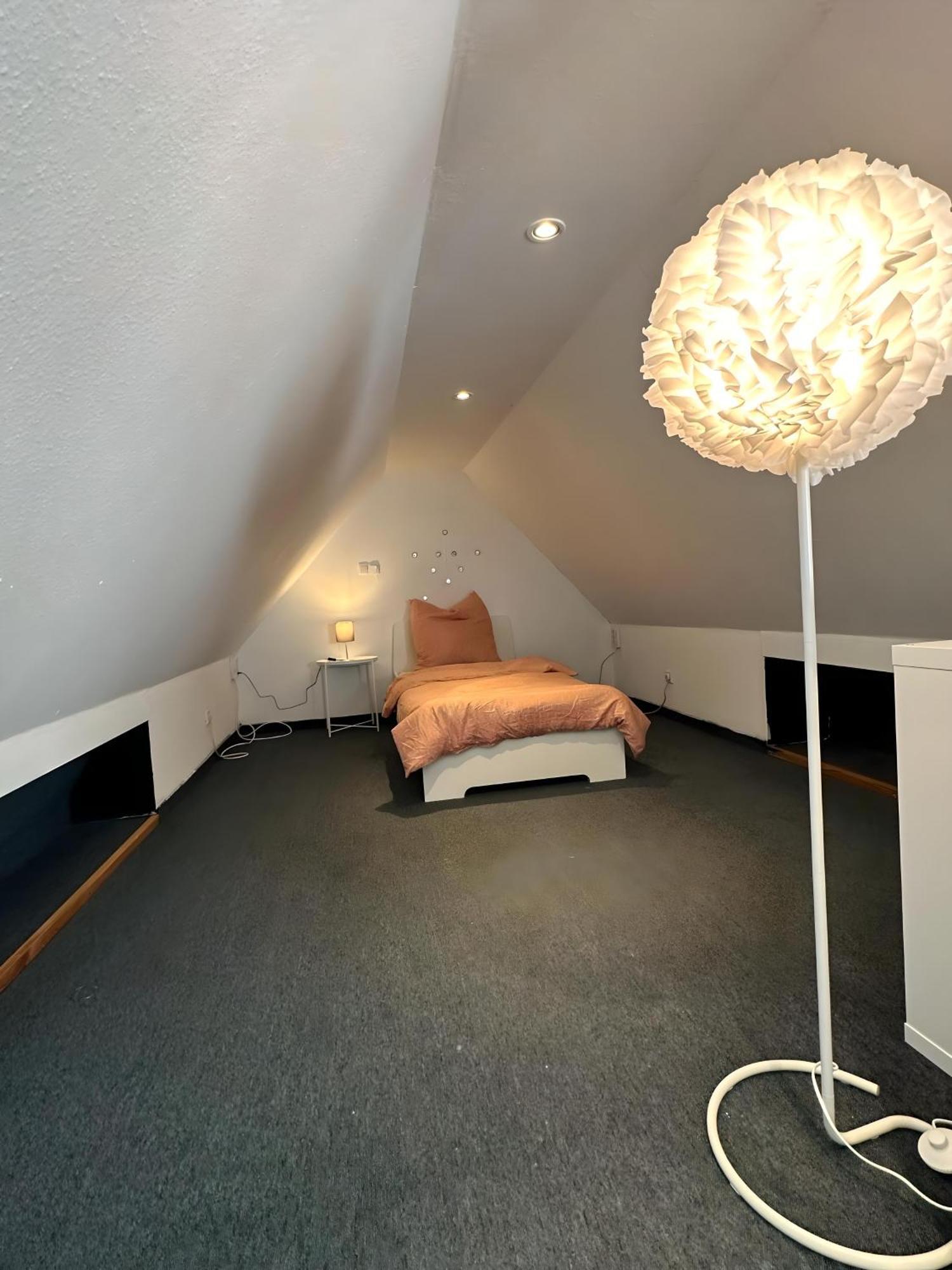 Apartment Souha II - Grosse Unterkunft In Bentheim Bad Bentheim Eksteriør bilde
